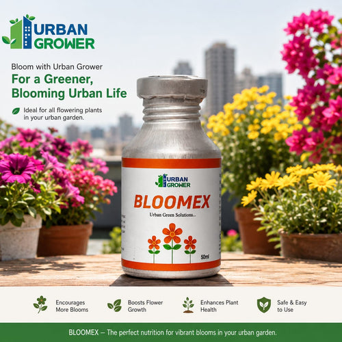 Bloomex
